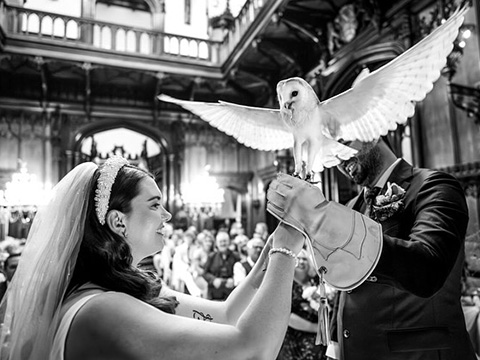 bride holding owl during wedding ceremony with guests watching magical moment 11 unique experiences unforgettable love 11 memories