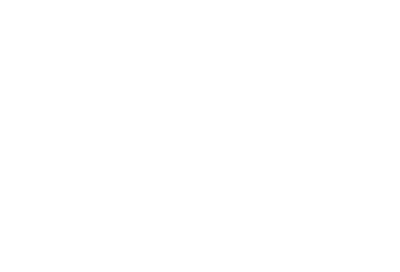 the logo for Barn Owl Ring Bearers